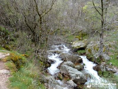 Cascadas Purgatorio,Bosque Finlandia; rutas de montaña madrid; clubs montaña madrid; rutas de send